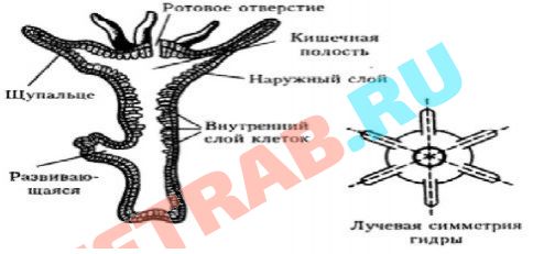 Кракен как зайти ссылка